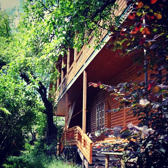 Instagram Image