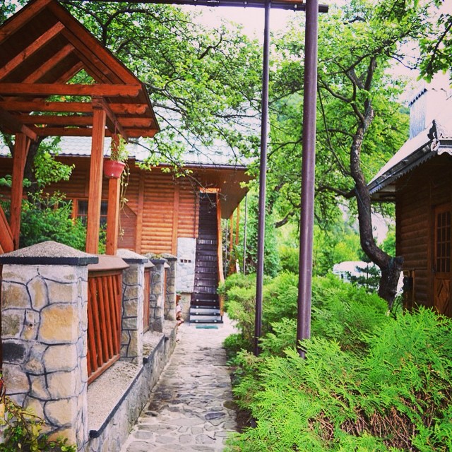 Instagram Image